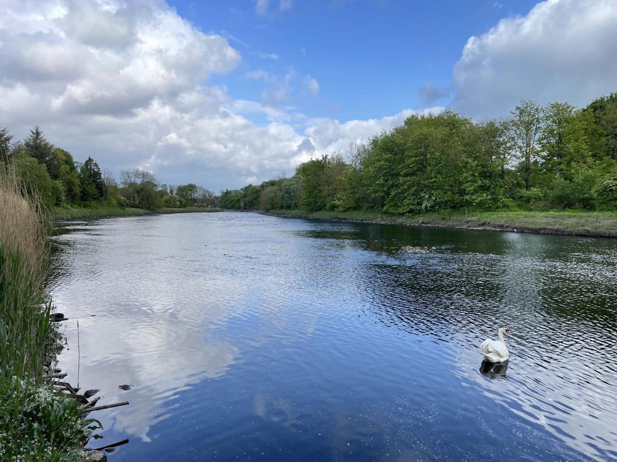 Apple Cottage Newton Stewart Bagian luar foto