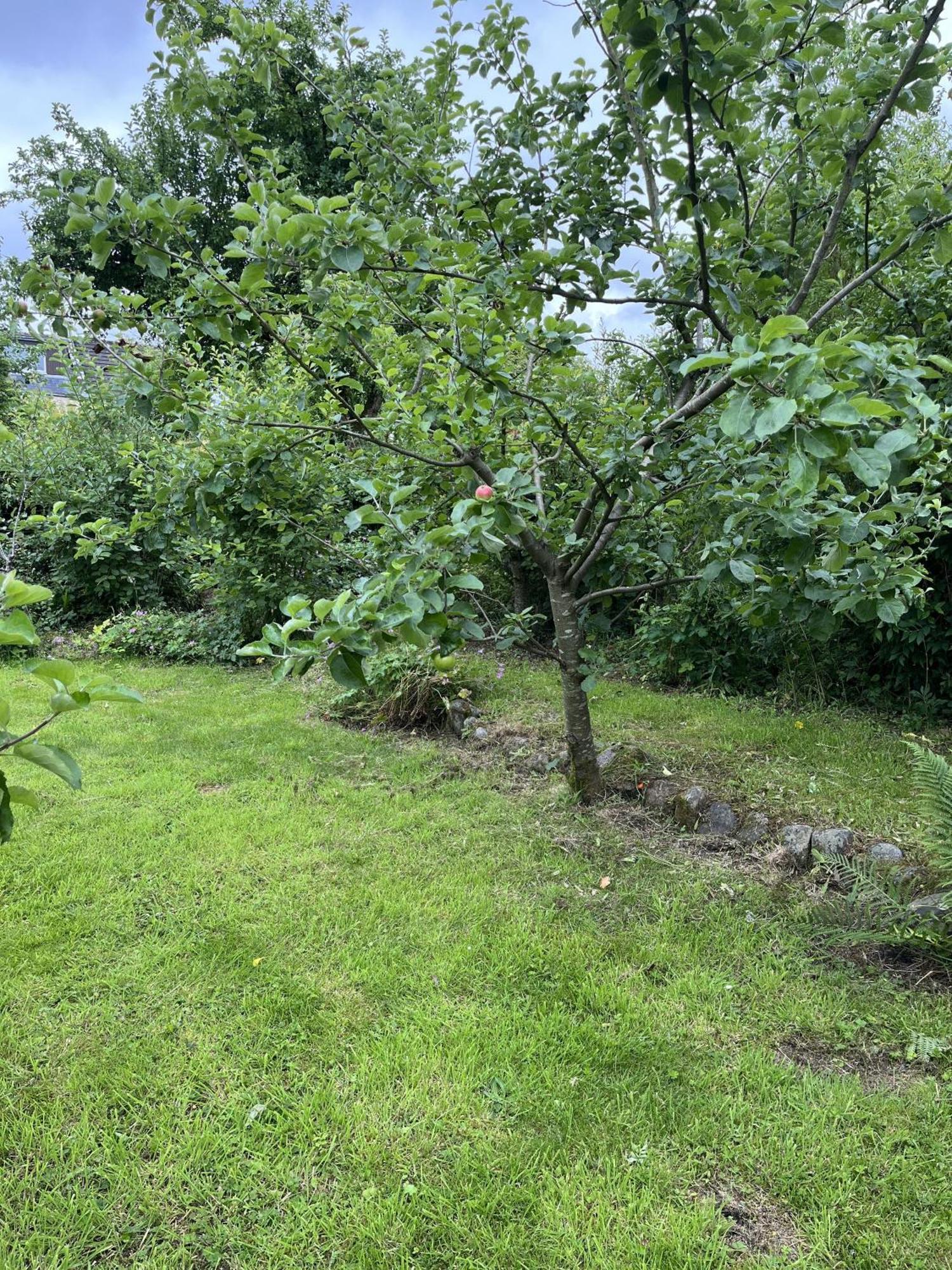Apple Cottage Newton Stewart Bagian luar foto
